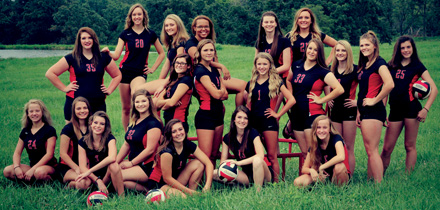 Volleyball Team (Picture 2) 4cc